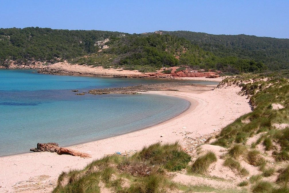 Wie man zum Strand von Algaiarens – La Vall kommt